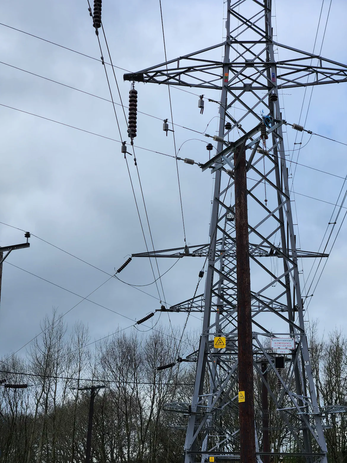 Sentrisense's sentri devices hanging from the power line